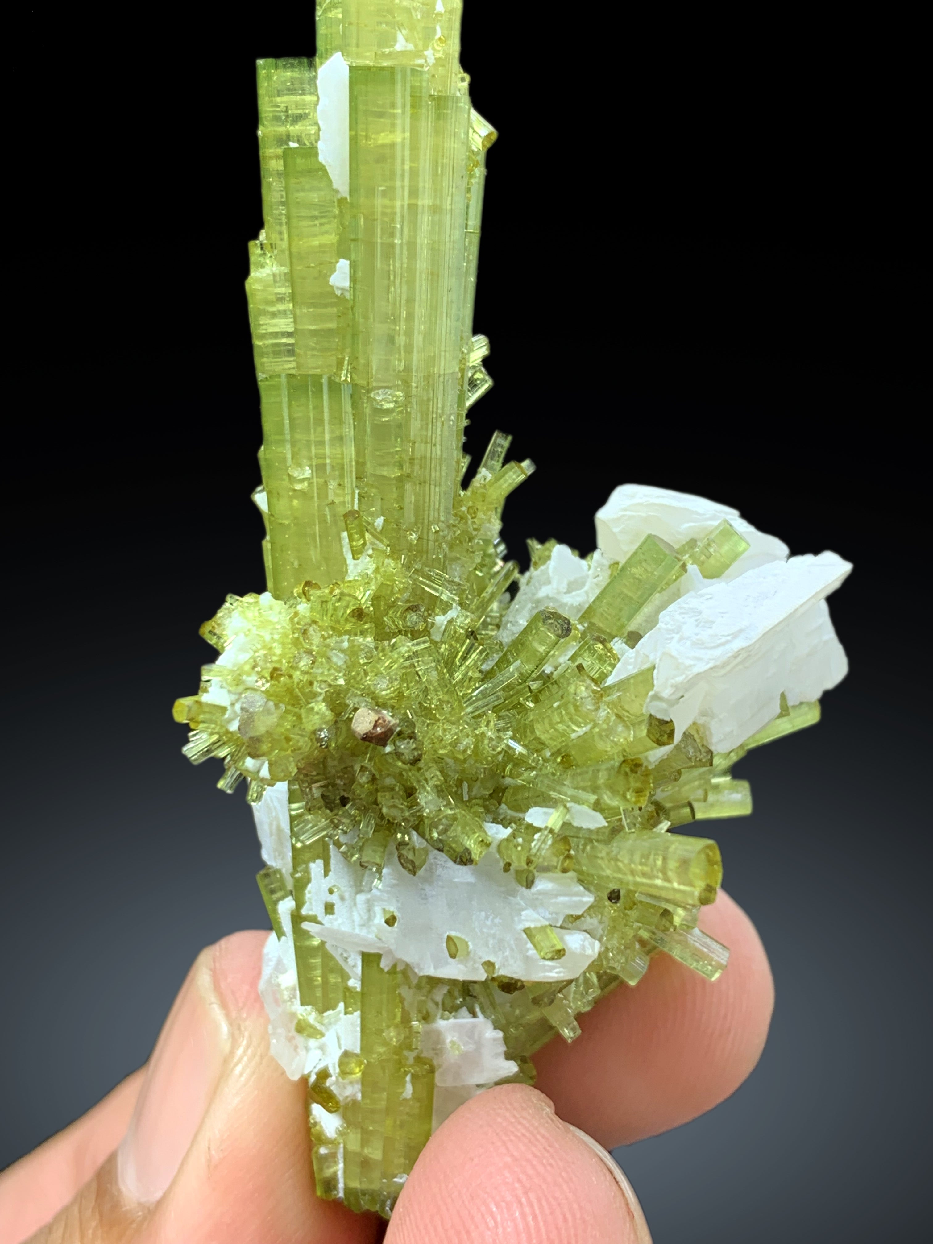 Lush Green Tourmaline Cluster with Rare Vitaniemiite from Chapu Mine Skardu Pakistan - 34 gram