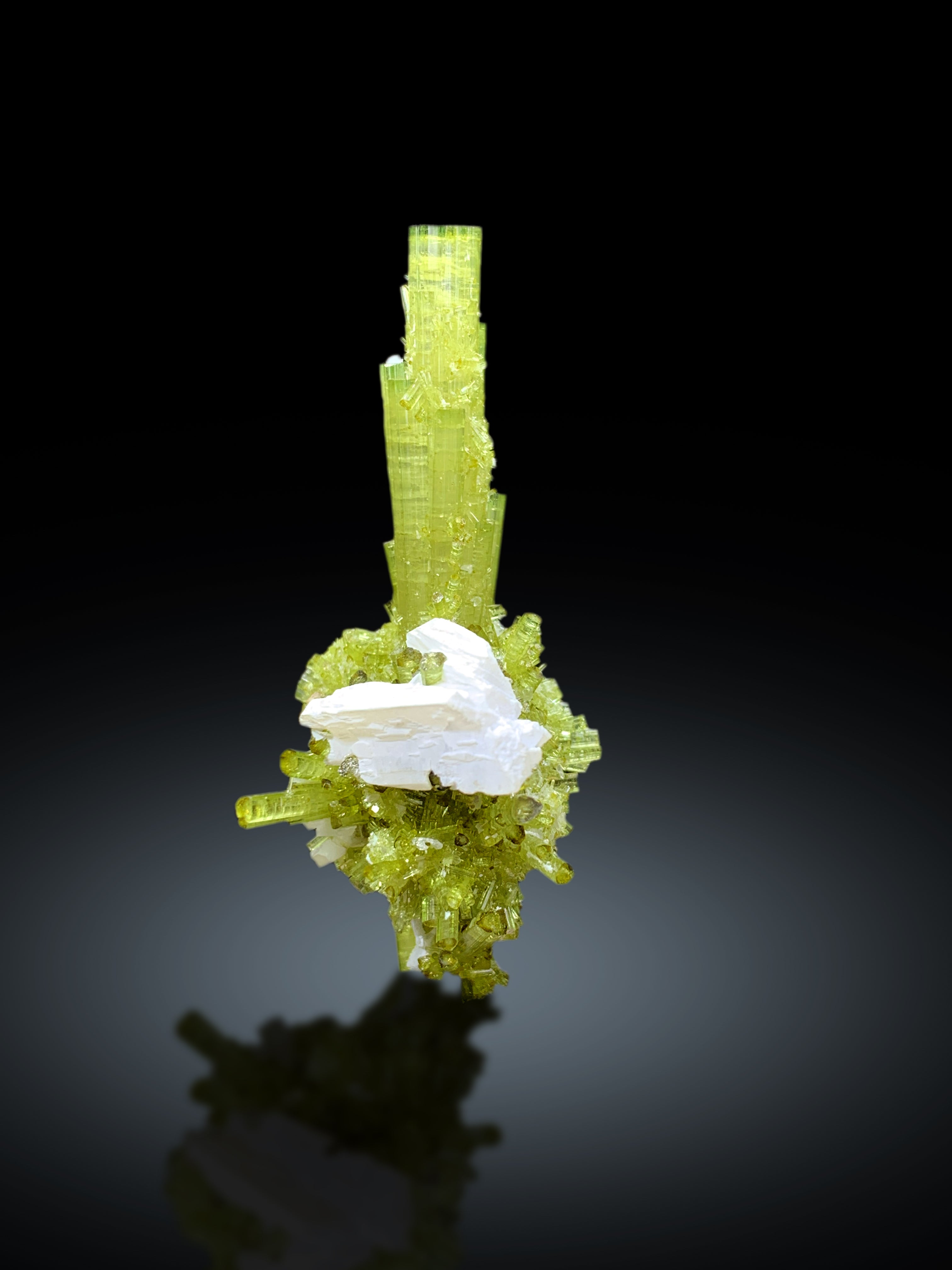 Lush Green Tourmaline Cluster with Rare Vitaniemiite from Chapu Mine Skardu Pakistan - 34 gram