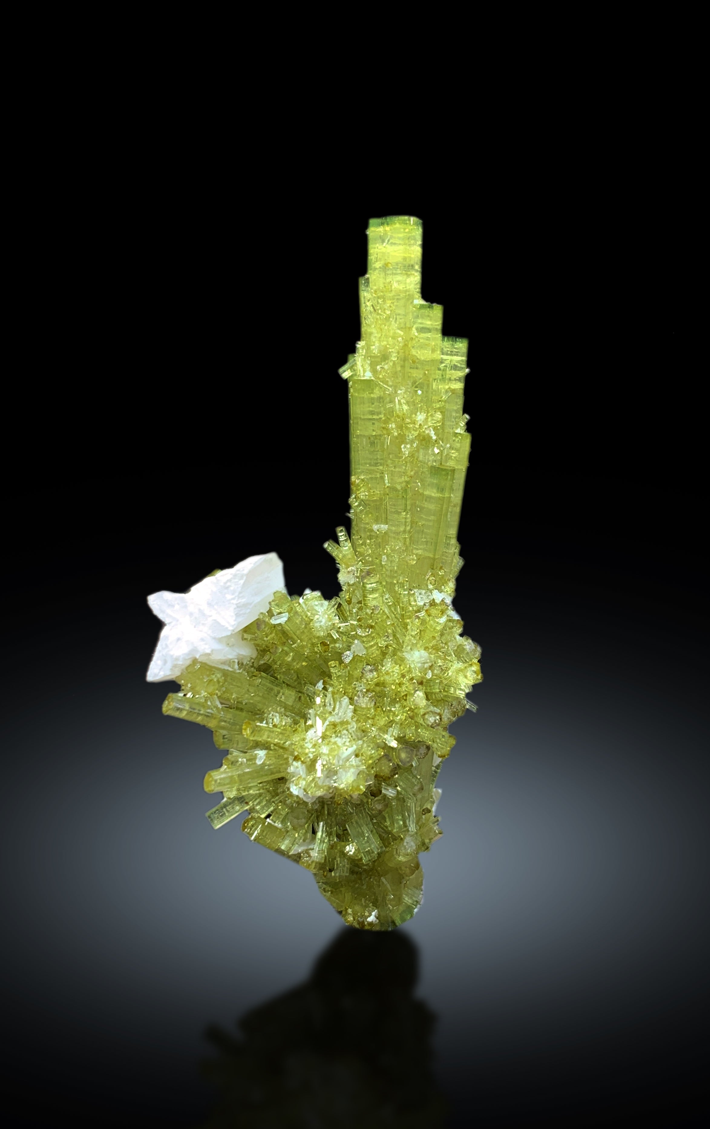 Lush Green Tourmaline Cluster with Rare Vitaniemiite from Chapu Mine Skardu Pakistan - 34 gram