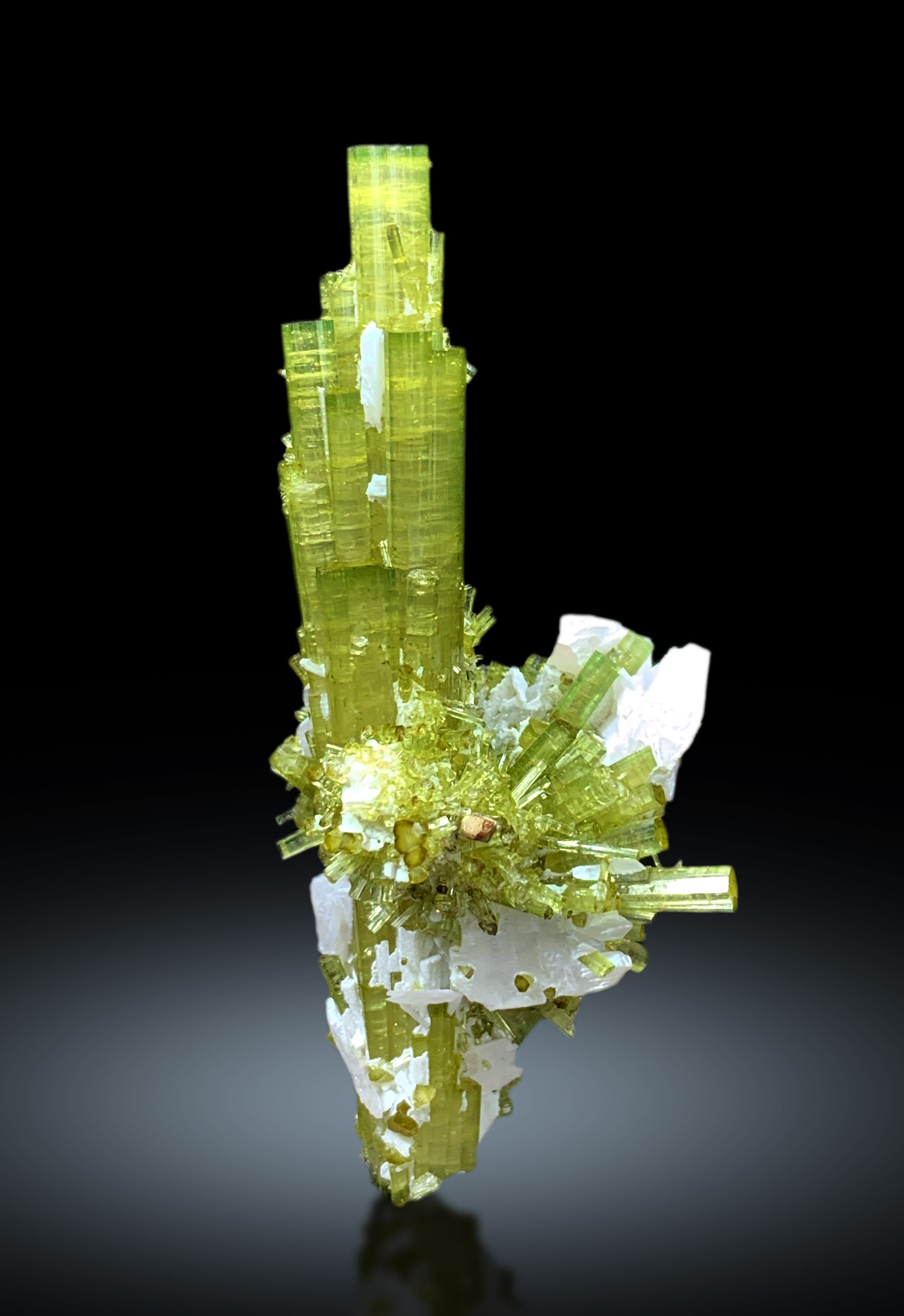 Lush Green Tourmaline Cluster with Rare Vitaniemiite from Chapu Mine Skardu Pakistan - 34 gram