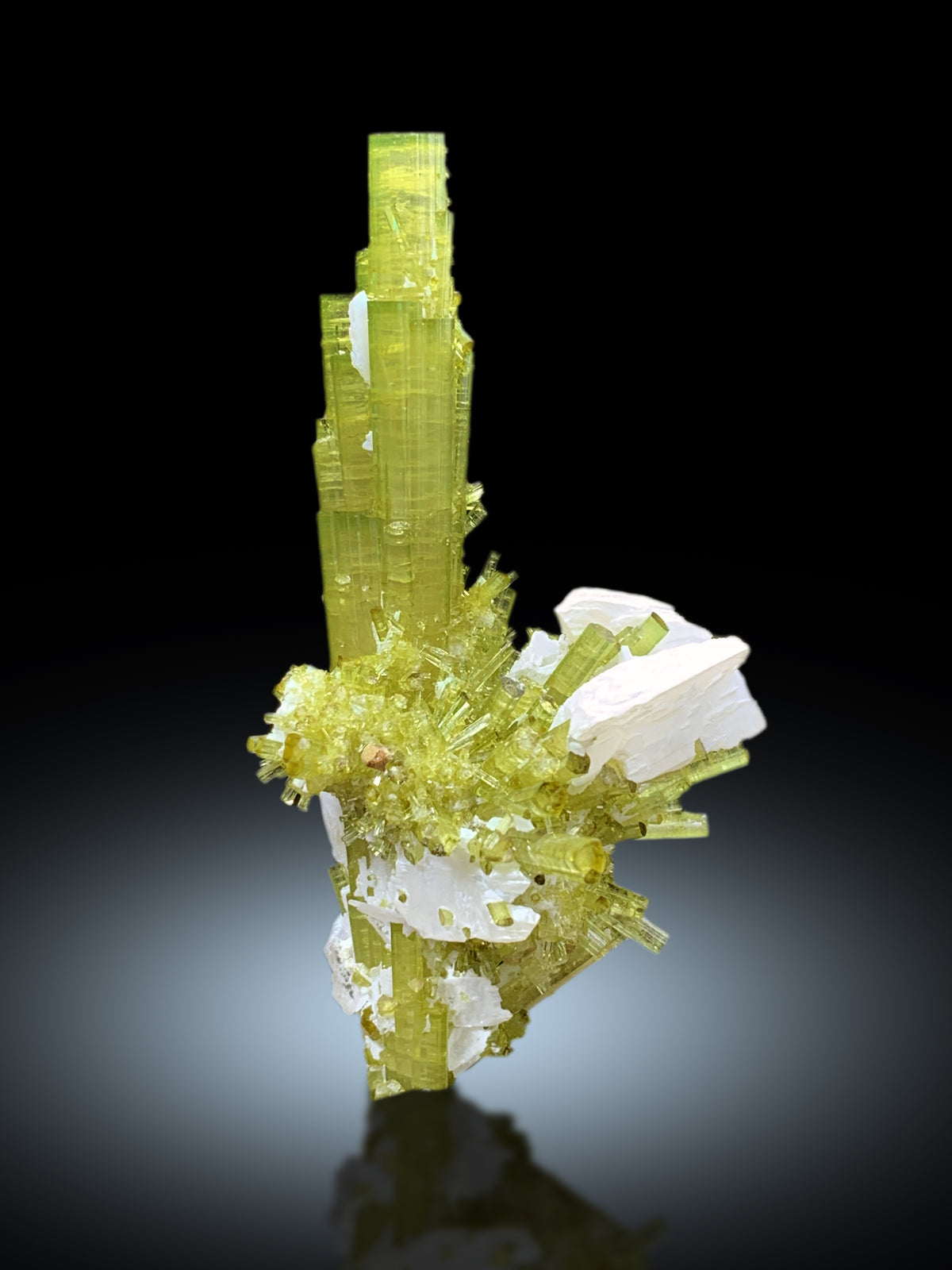 Lush Green Tourmaline Cluster with Rare Vitaniemiite from Chapu Mine Skardu Pakistan - 34 gram