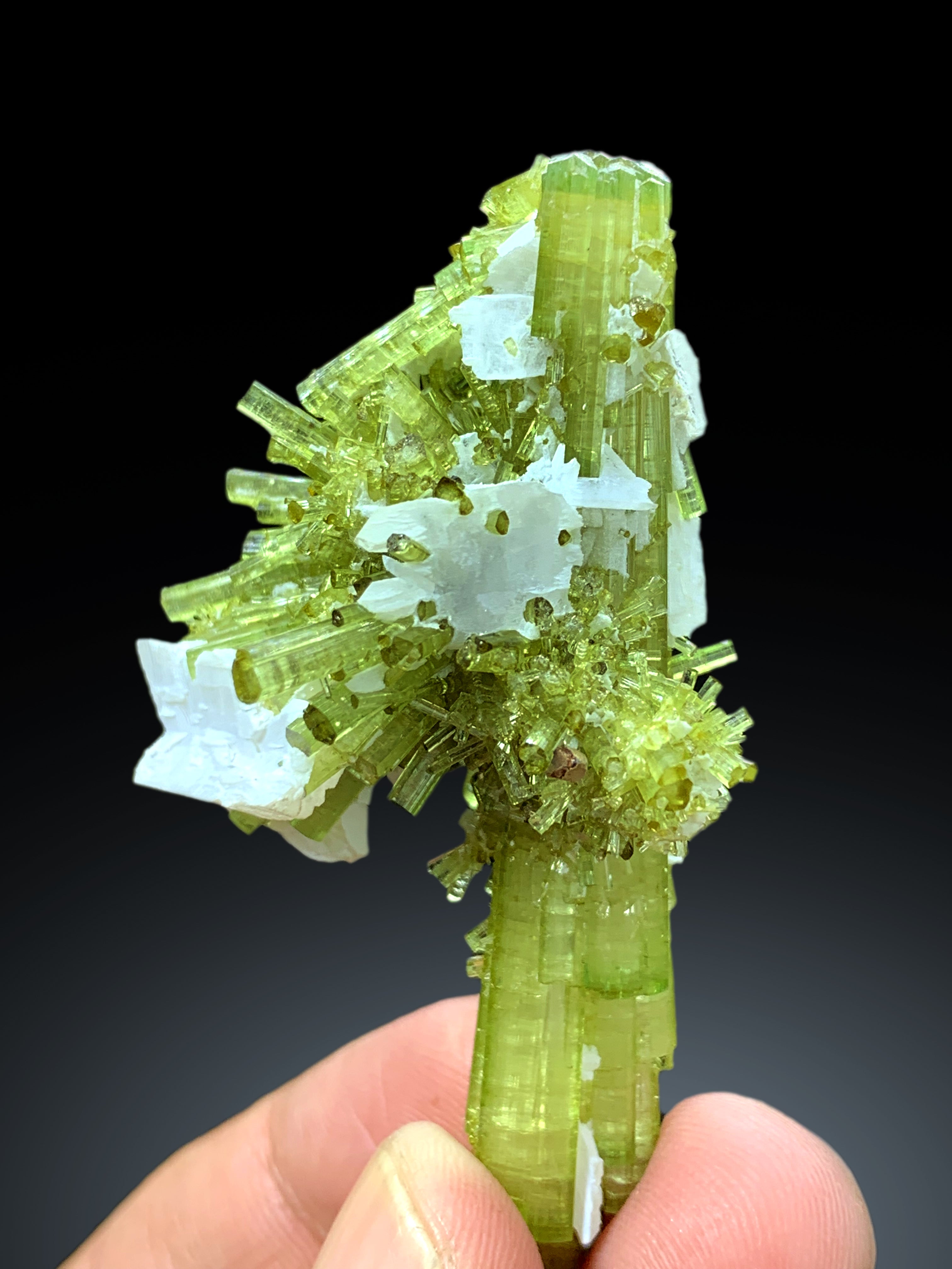 Lush Green Tourmaline Cluster with Rare Vitaniemiite from Chapu Mine Skardu Pakistan - 34 gram