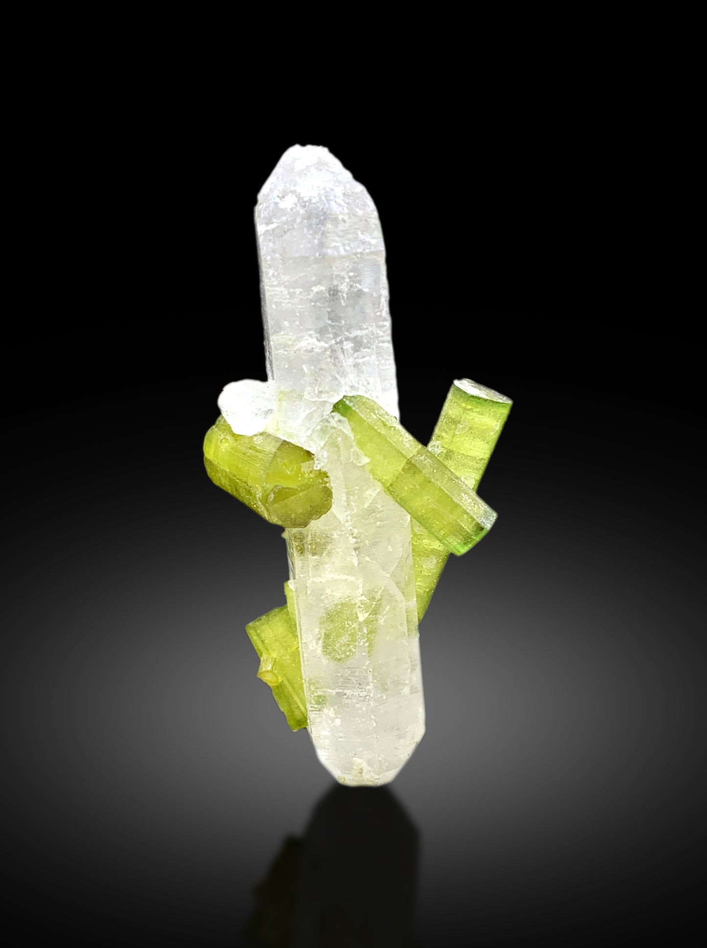 Lush Green Color Tourmaline Crystals on Quartz from Chapu Mine Skardu Pakistan - 12 gram