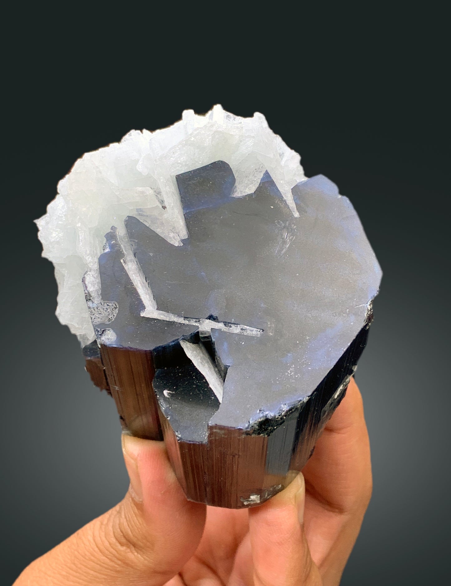 Natural Blue Cap Tourmaline Crystal with Cleavelandite Albite from Paprok Afghanistan - 425 gram