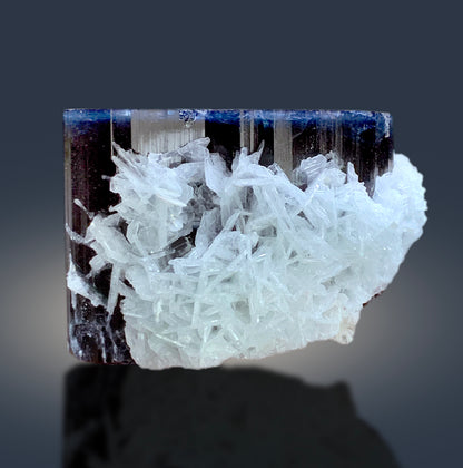 Natural Blue Cap Tourmaline with Cleavelandite Albite, Tourmaline Crystal, Paprok Tourmaline, Tourmaline Specimen - 602 gram