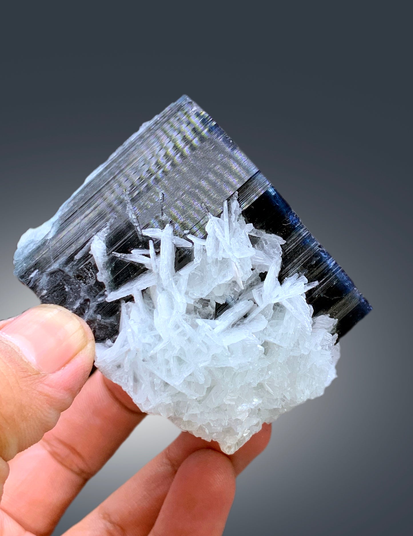 Natural Blue Cap Tourmaline with Cleavelandite Albite, Tourmaline Crystal, Paprok Tourmaline, Tourmaline Specimen - 602 gram