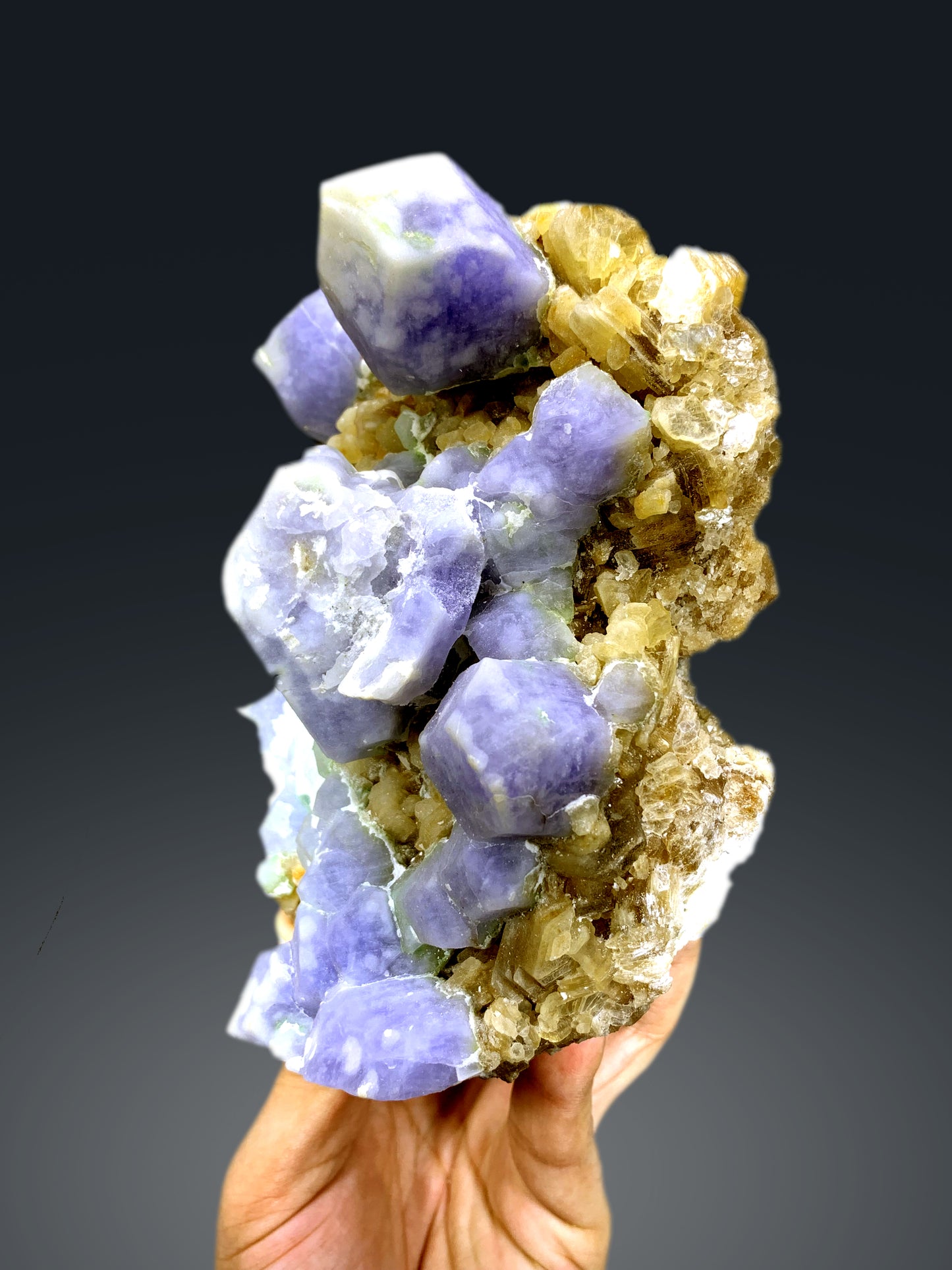 Fluorescent Rare Purple Hackmanite on Phlogopite Mica from Afghanistan - 1654 grams