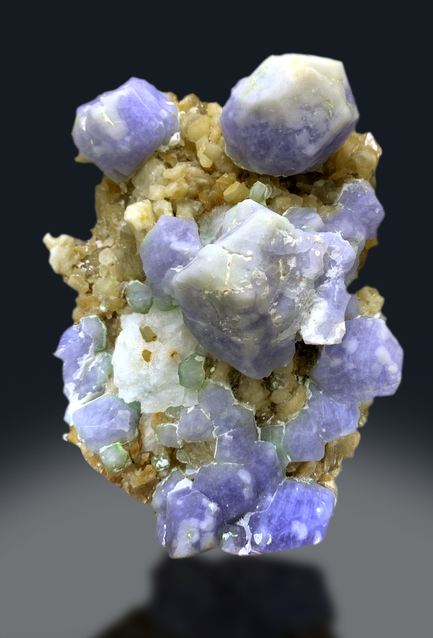 Fluorescent Rare Purple Hackmanite on Phlogopite Mica from Afghanistan - 1654 grams