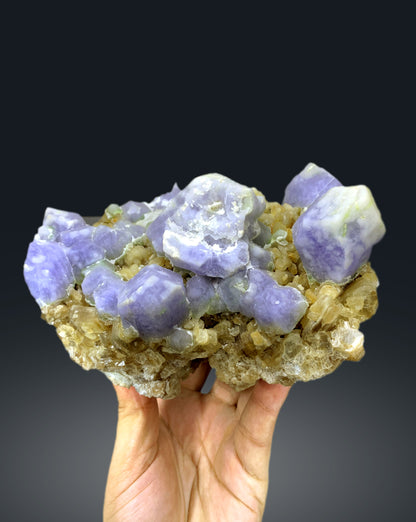 Fluorescent Rare Purple Hackmanite on Phlogopite Mica from Afghanistan - 1654 grams