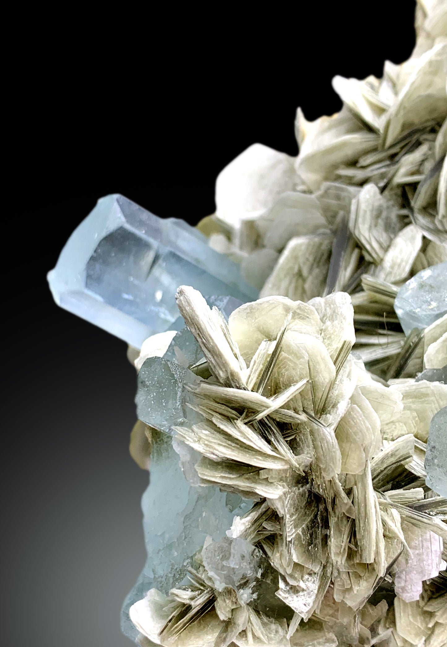 Museum Grade Sky Blue Aquamarine Crystals with Fluorite and Muscovite from Nagar valley Hunza, Gilgit Baltistan - 3820 gram