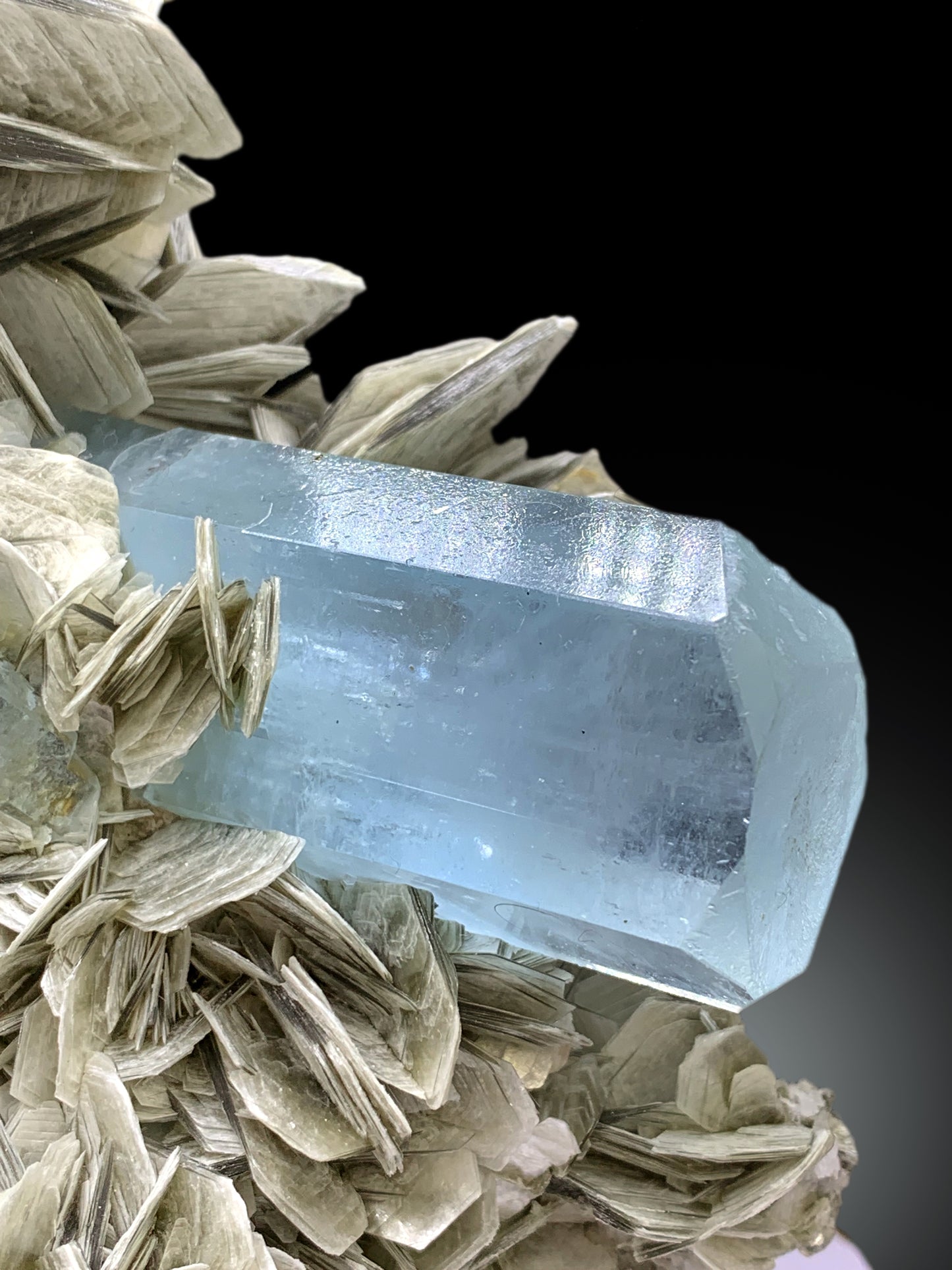 Museum Grade Sky Blue Aquamarine Crystals with Fluorite and Muscovite from Nagar valley Hunza, Gilgit Baltistan - 3820 gram
