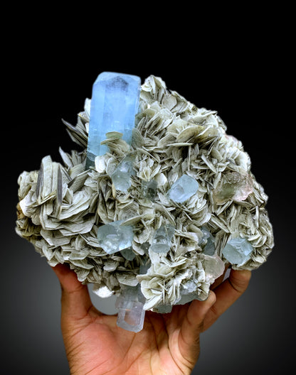 Museum Grade Sky Blue Aquamarine Crystals with Fluorite and Muscovite from Nagar valley Hunza, Gilgit Baltistan - 3820 gram