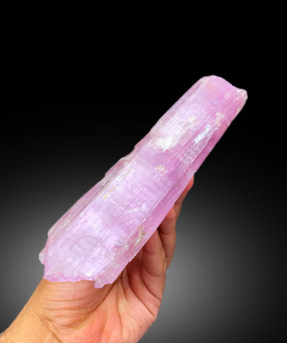 V Shape Terminated Pink Kunzite Crystal, Kunzite Specimen, Fine Minerals, Kunzite Crystal from Afghanistan - 547 gram