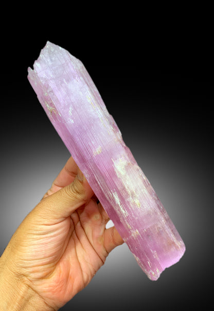 V Shape Terminated Pink Kunzite Crystal, Kunzite Specimen, Fine Minerals, Kunzite Crystal from Afghanistan - 547 gram
