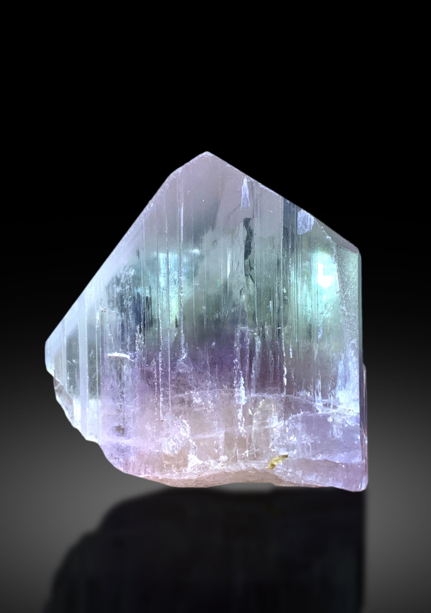 V Shape Terminated Bicolor Kunzite Crystal from Afghanistan - 105 gram