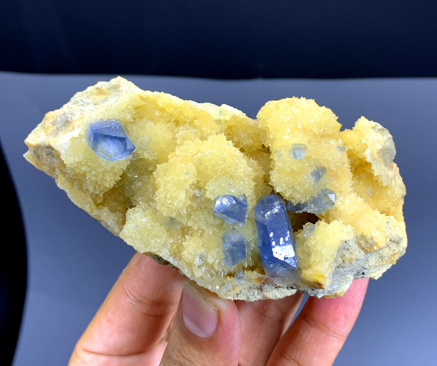 Blue Celestine Crystals on Yellow Calcite from Afghanistan - 279 gram