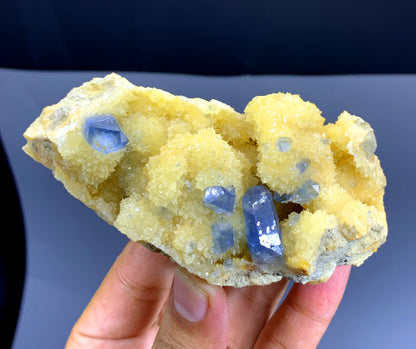 Blue Celestine Crystals on Yellow Calcite from Afghanistan - 279 gram