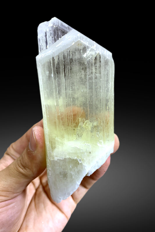 v Shape Terminated Yellow Triphane Kunzite Crystal from Afghanistan - 226 gram