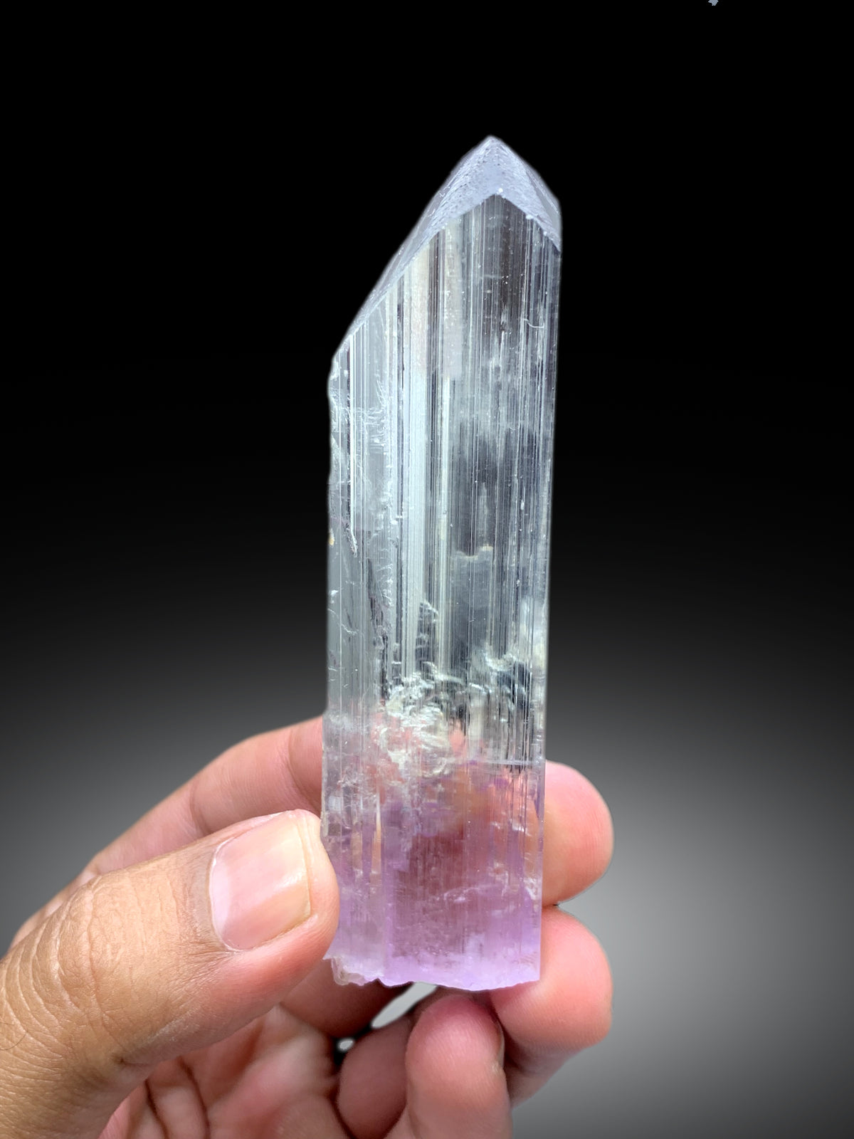 Bicolor Kunzite crystal from Afghanistan, 70 gram