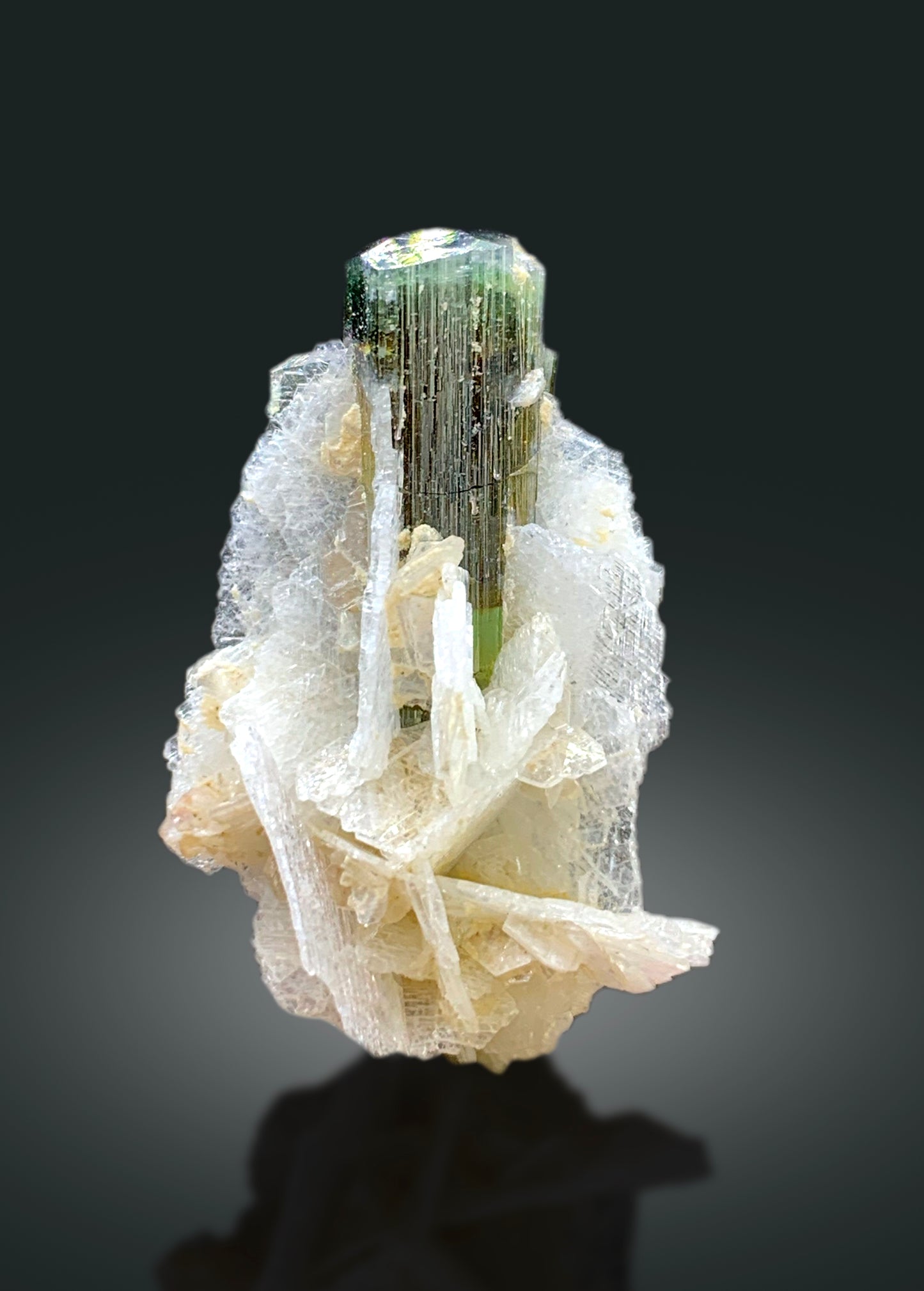 Natural Green Cap Tourmaline with Cleavelandite Albite, Tourmaline Crystal, Tourmaline from Astak Nala Mine Skardu Pakistan - 15 gram