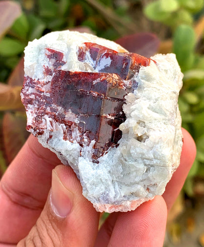 Natural Red Color Tantalite Cluster with Albite, Tantalite Specimen, Raw Mineral, Tantalite from Kunar, Afghanistan - 178 gram