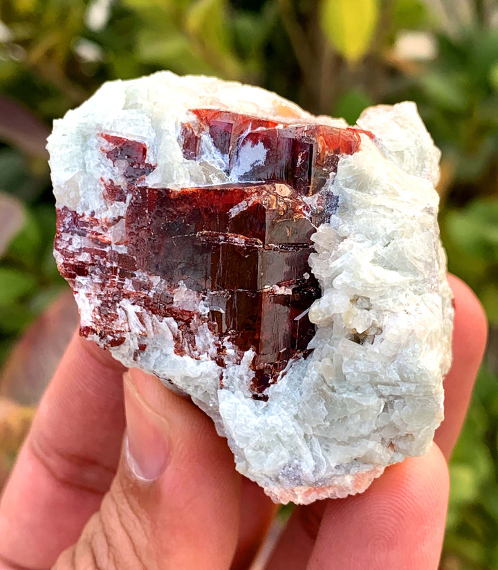 Natural Red Color Tantalite Cluster with Albite, Tantalite Specimen, Raw Mineral, Tantalite from Kunar, Afghanistan - 178 gram