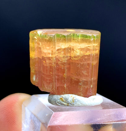 Natural Bicolor Tourmaline Crystal from Paprok Afghanistan - 64.20 carat