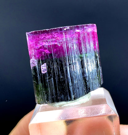 Natural Bicolor Tourmaline Crystal from Paprok Afghanistan - 79.45 carat