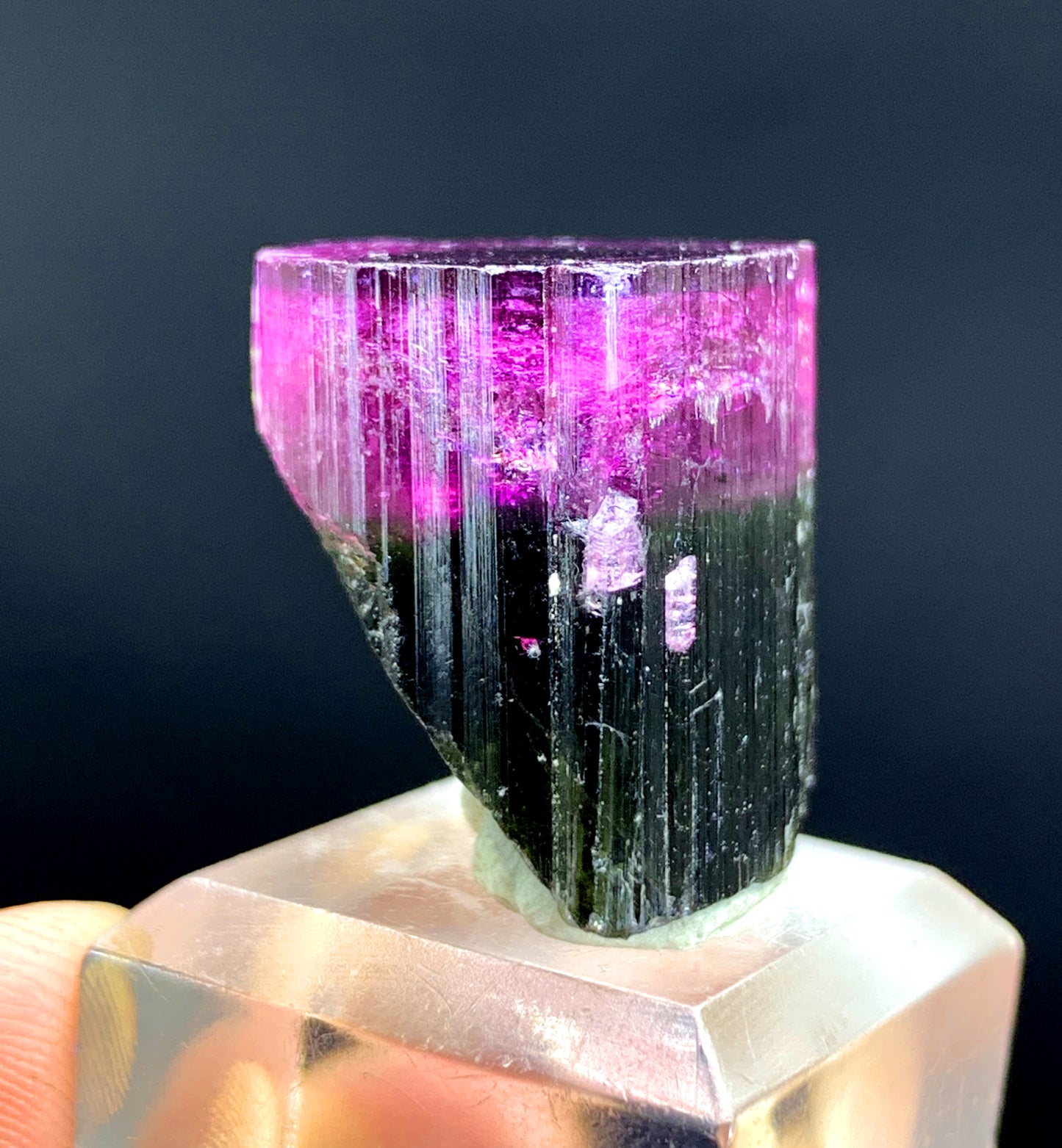 Natural Bicolor Tourmaline Crystal from Paprok Afghanistan - 79.45 carat