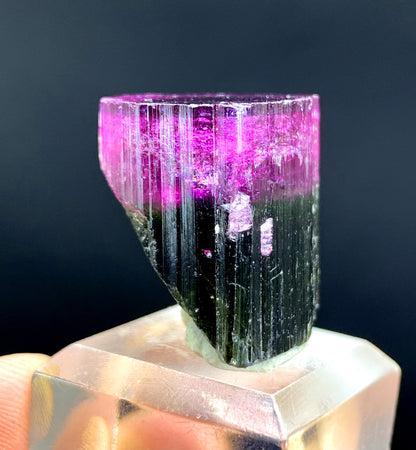 Natural Bicolor Tourmaline Crystal from Paprok Afghanistan - 79.45 carat