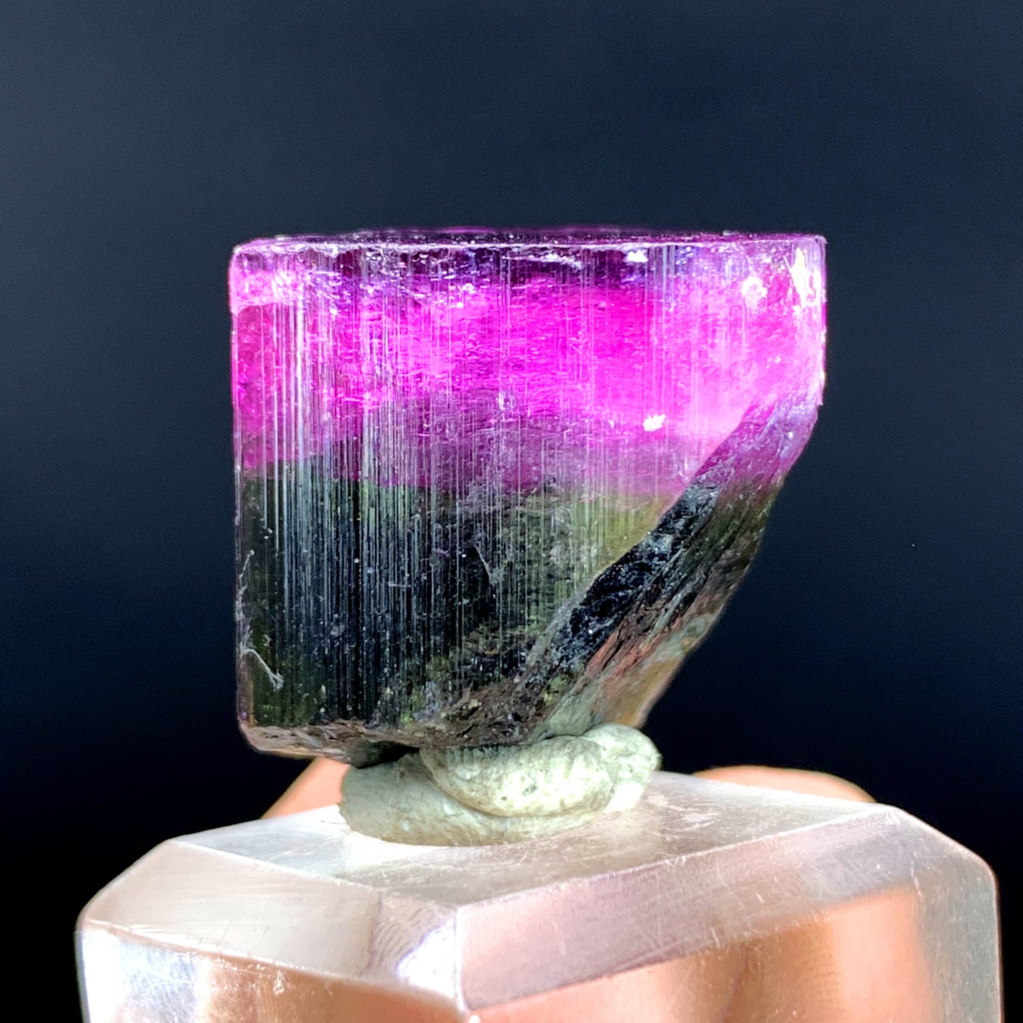 Natural Bicolor Tourmaline Crystal from Paprok Afghanistan - 79.45 carat
