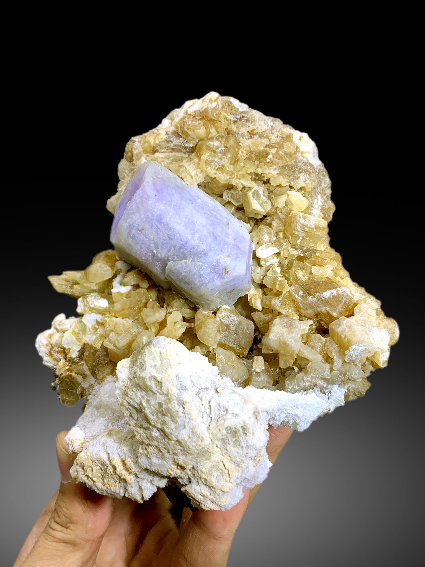 Fluorescent Rare Purple Hackmanite on Phlogopite Mica from Afghanistan - 810 grams