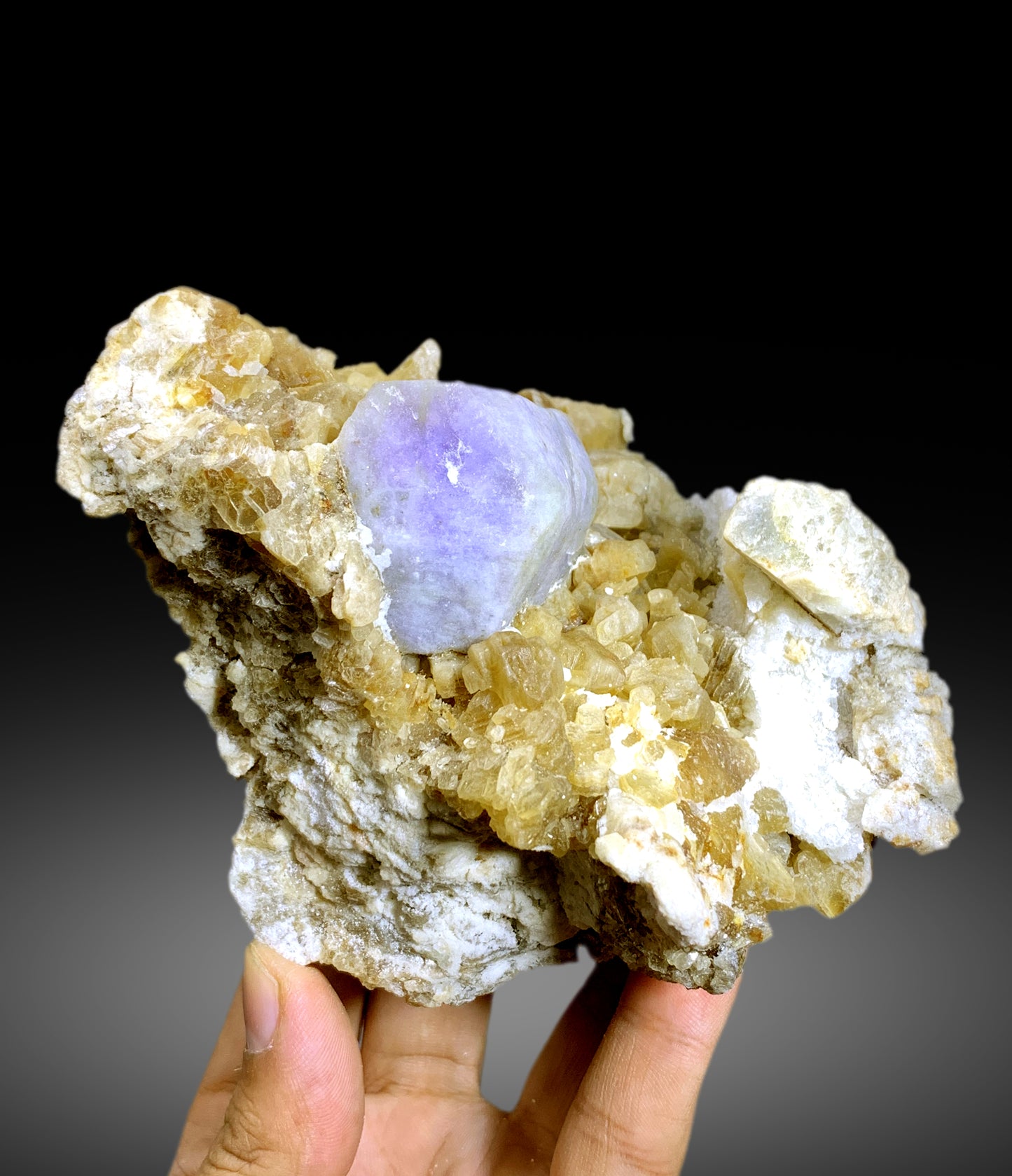 Fluorescent Rare Purple Hackmanite on Phlogopite Mica from Afghanistan - 810 grams