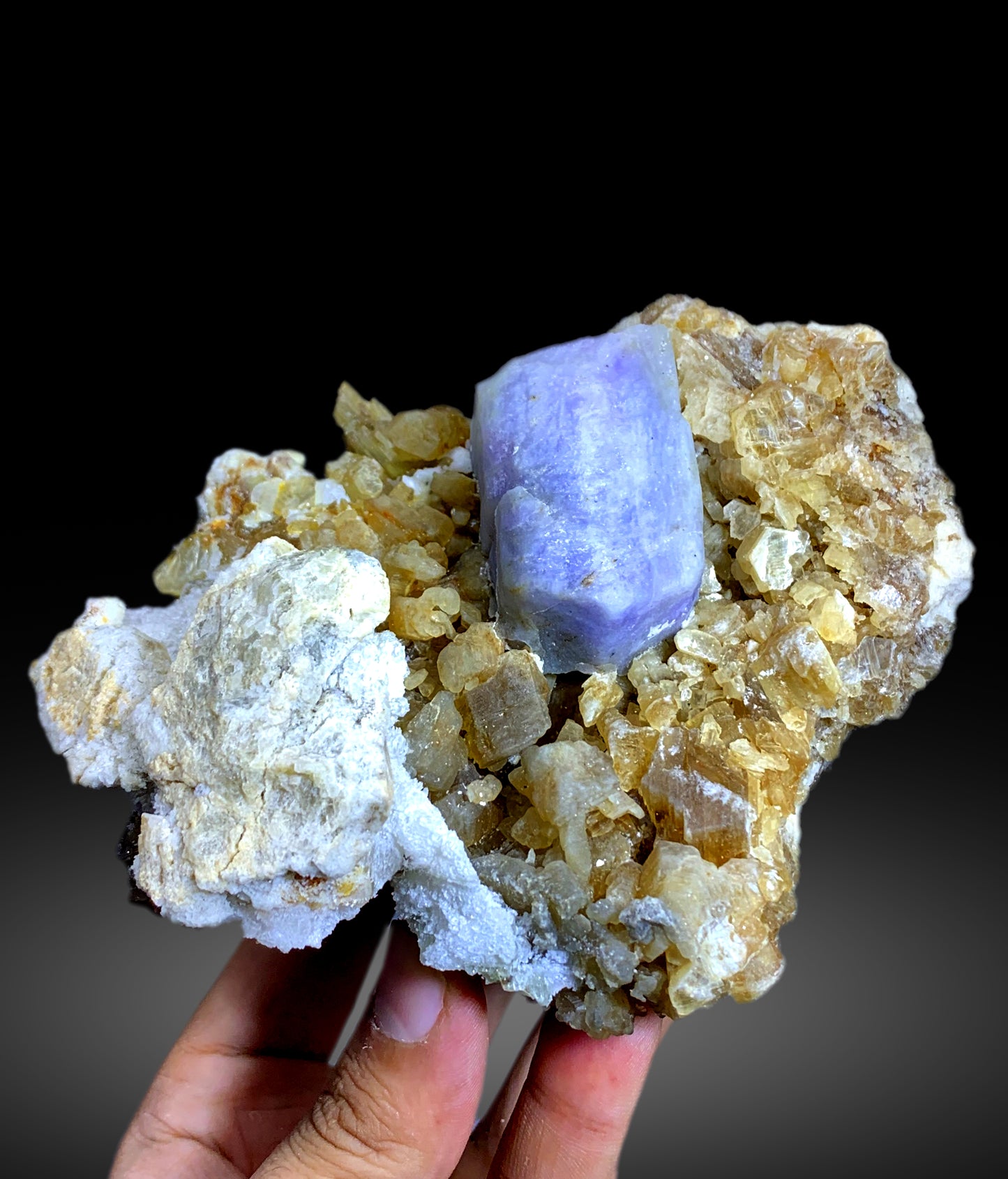 Fluorescent Rare Purple Hackmanite on Phlogopite Mica from Afghanistan - 810 grams