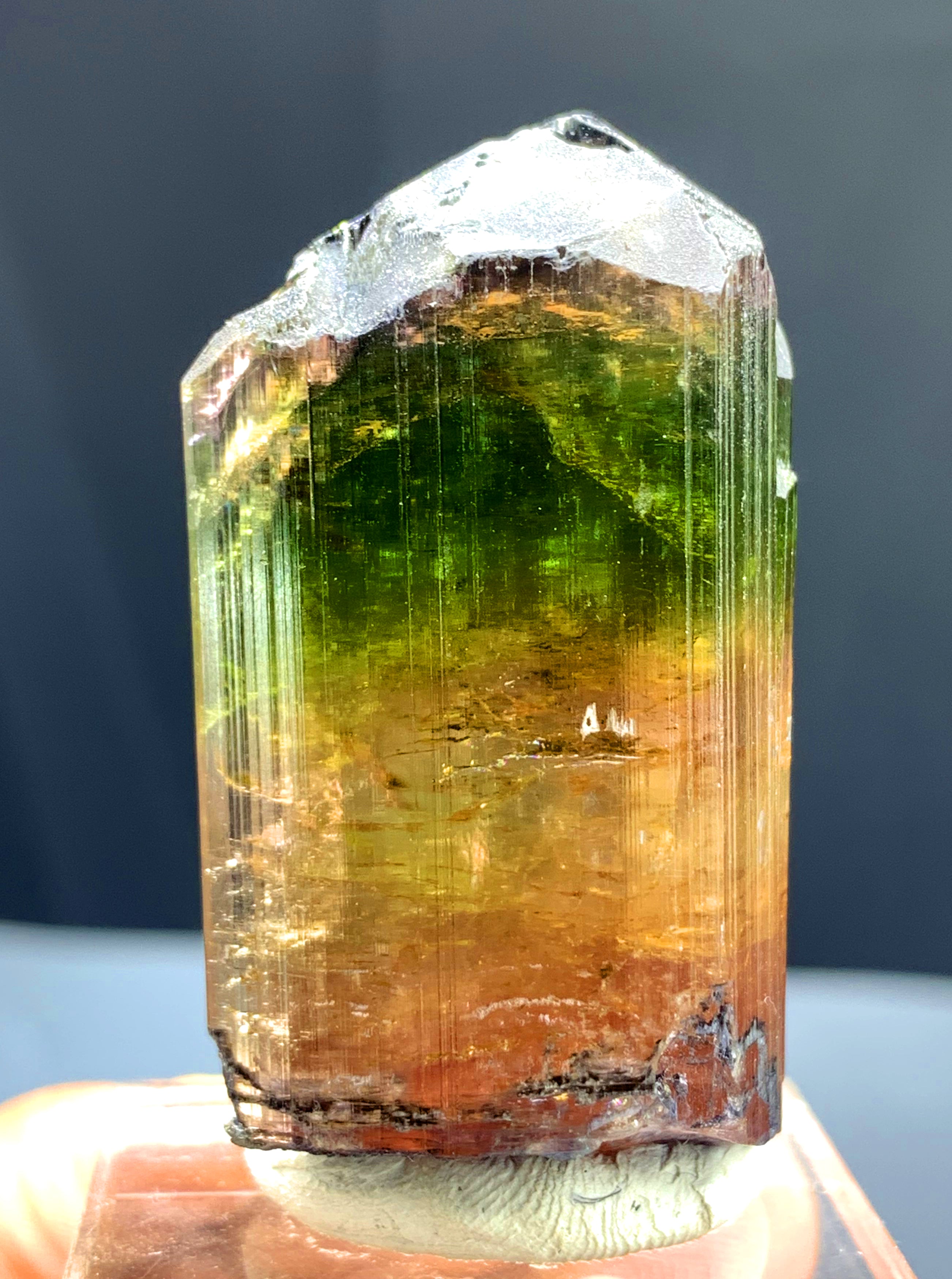 Multicolor Tourmaline Crystal from Afghanistan - 59 gram