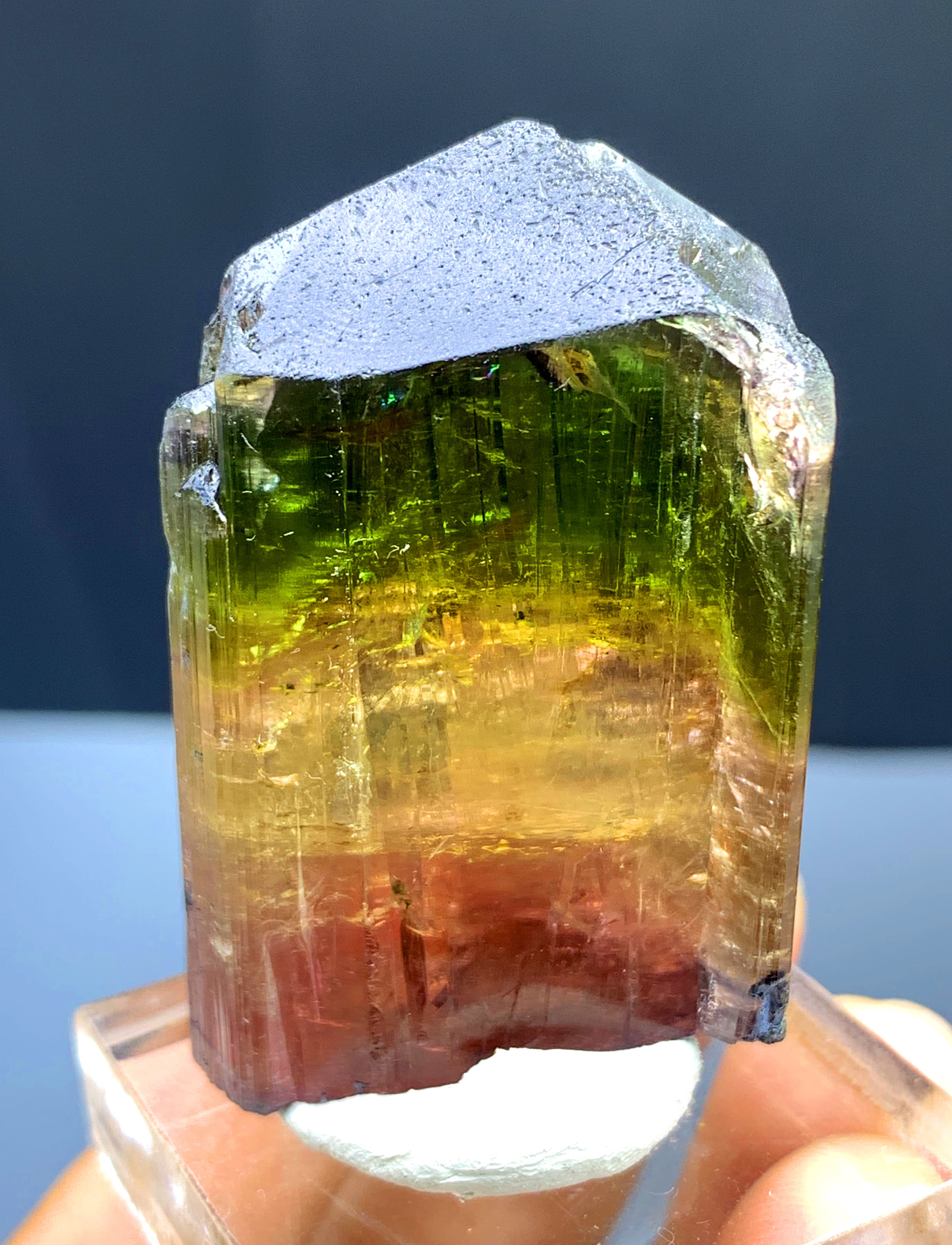 Multicolor Tourmaline Crystal from Afghanistan - 59 gram