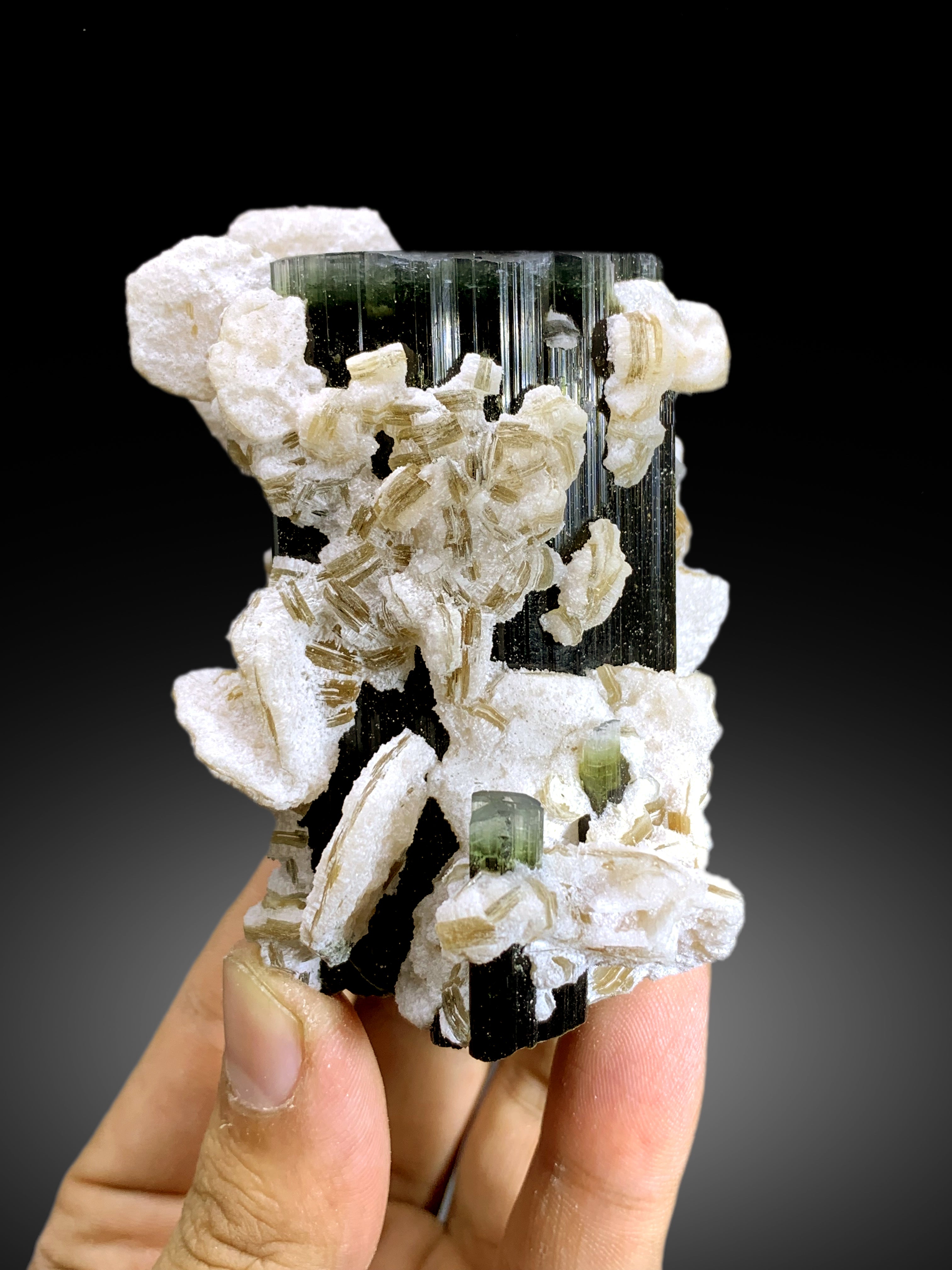 Blue Cap Tourmaline with Lepidolite from Paprok Afghanistan - 295 gram