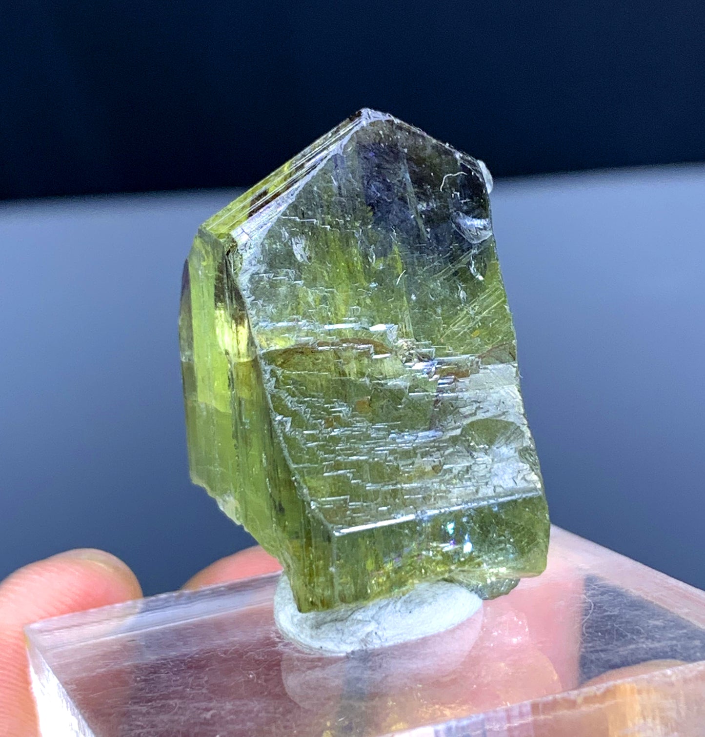 Natural Bicolor Tanzanite Crystal from Tanzania | Raw Blue & Purple Gemstone | Collector's Mineral Specimen - 23 grams