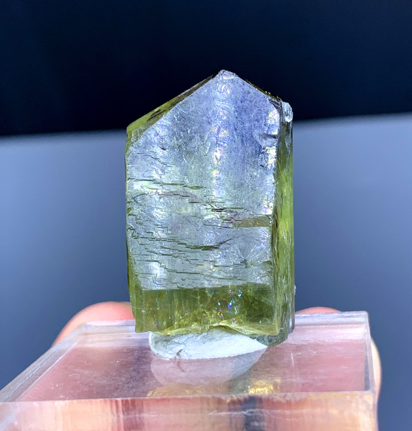 Natural Bicolor Tanzanite Crystal from Tanzania | Raw Blue & Purple Gemstone | Collector's Mineral Specimen - 23 grams