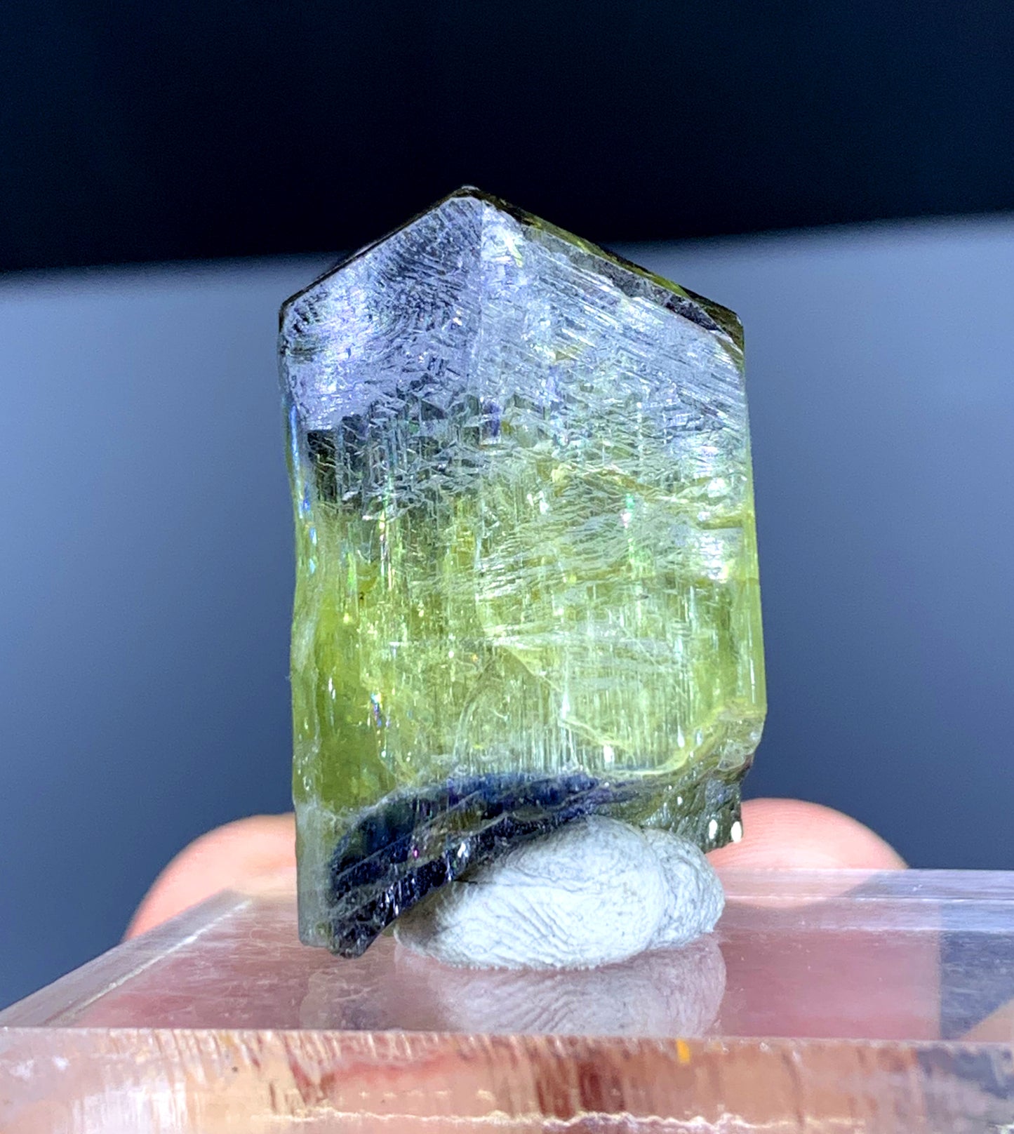 Natural Bicolor Tanzanite Crystal from Tanzania | Raw Blue & Purple Gemstone | Collector's Mineral Specimen - 23 grams