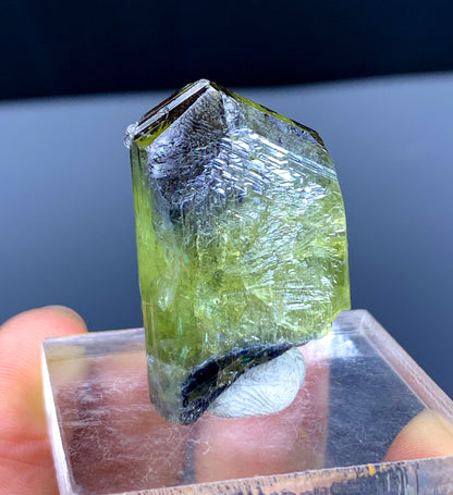 Natural Bicolor Tanzanite Crystal from Tanzania | Raw Blue & Purple Gemstone | Collector's Mineral Specimen - 23 grams