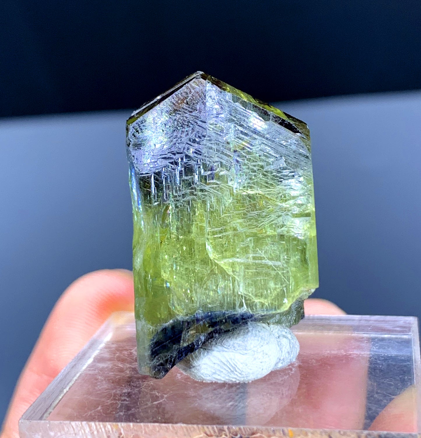 Natural Bicolor Tanzanite Crystal from Tanzania | Raw Blue & Purple Gemstone | Collector's Mineral Specimen - 23 grams