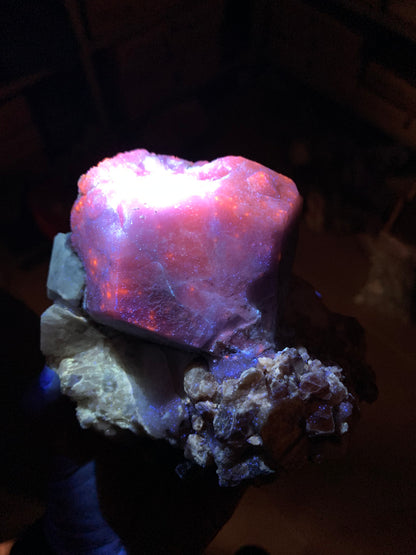 Fluorescent Rare Purple Hackmanite on Phlogopite Mica from Afghanistan - 1400 grams