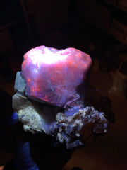 Fluorescent Rare Purple Hackmanite on Phlogopite Mica from Afghanistan - 1400 grams
