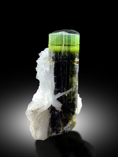 Natural Green Cap Tourmaline with Cleavelandite Albite, Tourmaline Specimen, Tourmaline from Astak Nala Mine Skardu Pakistan - 13 gram