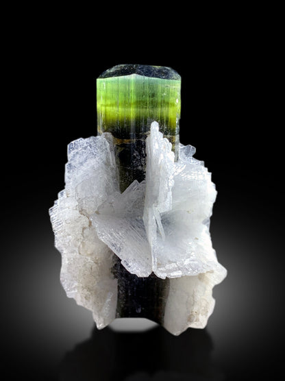 Natural Green Cap Tourmaline with Cleavelandite Albite, Tourmaline Specimen, Tourmaline from Astak Nala Mine Skardu Pakistan - 13 gram
