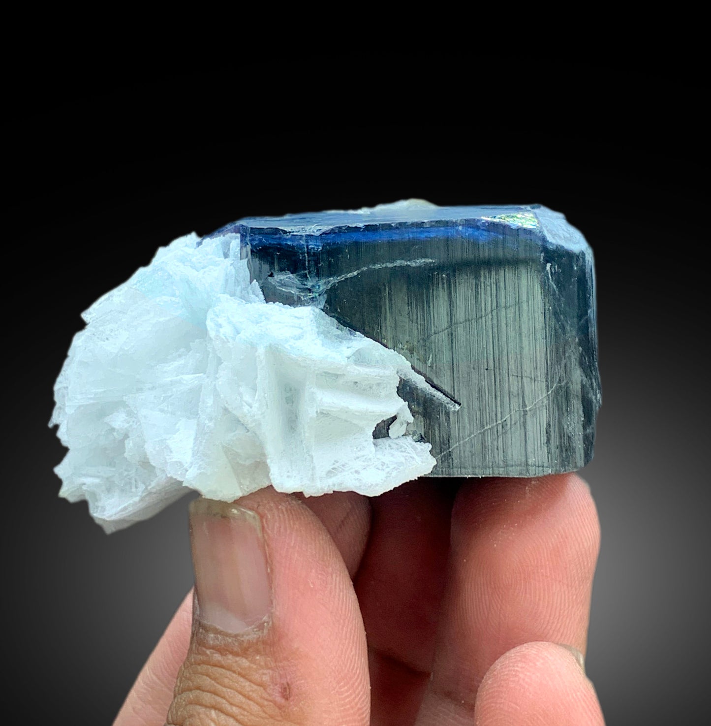Natural Blue Cap Tourmaline Crystal with Cleavelandite Albite, Paprok Tourmaline, Raw Mineral, Tourmaline Specimen - 178 gram