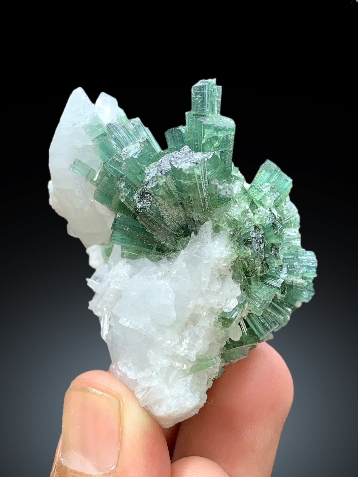 Bluish Green Tourmaline Cluster on Quartz from Afghanistan - 60 gram