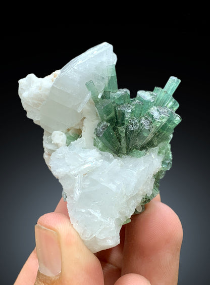 Bluish Green Tourmaline Cluster on Quartz from Afghanistan - 60 gram
