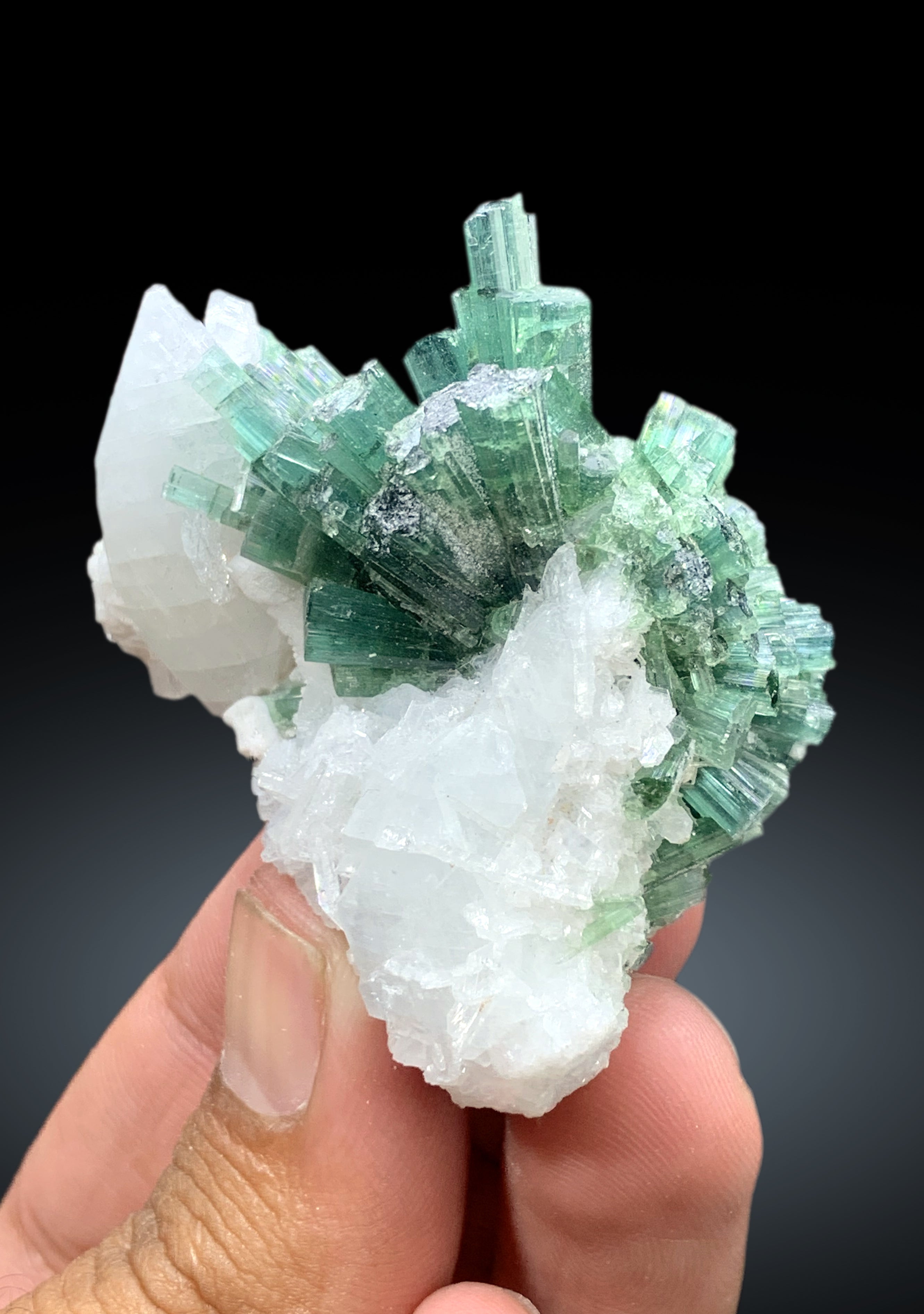 Bluish Green Tourmaline Cluster on Quartz from Afghanistan - 60 gram